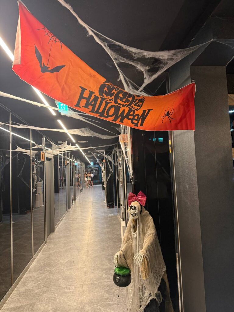 제주도 유흥 미술관 이벤트