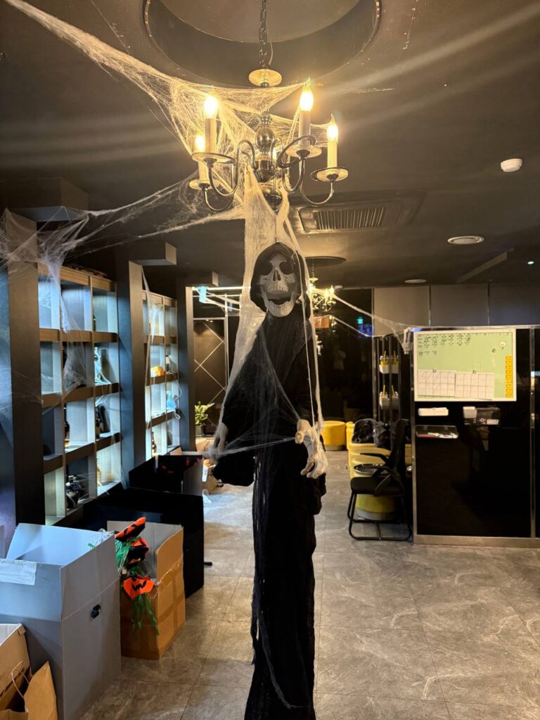 제주도 유흥 미술관 이벤트